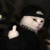 ️Lan