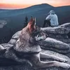 wolffy64