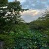 ryoudayo18