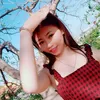 nhihoang203