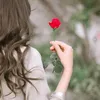 حنيفه قمر