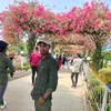 mdrakib763d