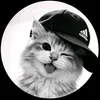 nixiexdl