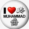 shehzadasaleem9510