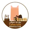 hasanalamri23