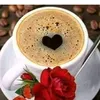 نادي قارئة الفنجان