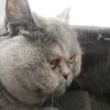 theblackrubyy