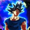 user144215626