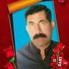 walimohammad102