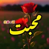 اردو شاعری 🦋