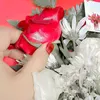 ro_ro66