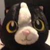 crayoncat16