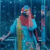 raishahasan477