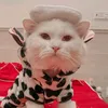 linhkhukho1