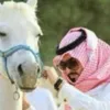 alfaaaris511