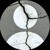 abcd_ii