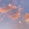 bitchflix1