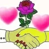 .talabgar.wazir