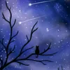 .starlily.587