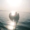 solomi