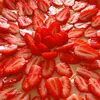 juliegosselin7