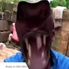 dashzz16