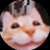 jackie0_103