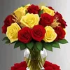 mariwanahmad0076gmail.co