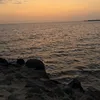 aljokhar