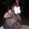 anisptri18