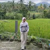NengBungsu