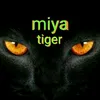 miya_tiger_21