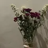 nrrhmysf_