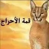ghyda27