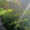 badkrl