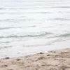 summersumm