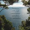 user469030074