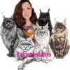 lilmoonlions