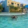 mdeybis