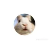 .thoalire_