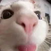 longjp12