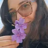 tayyoliveira24