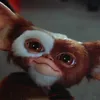alexm_6604