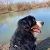 michmitch59