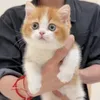 anny_anny2529