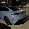 theebovv_