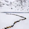 saidelmoukadmi