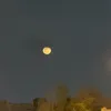 sasiii028