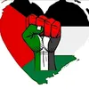 saif15801