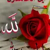 abedarahman2